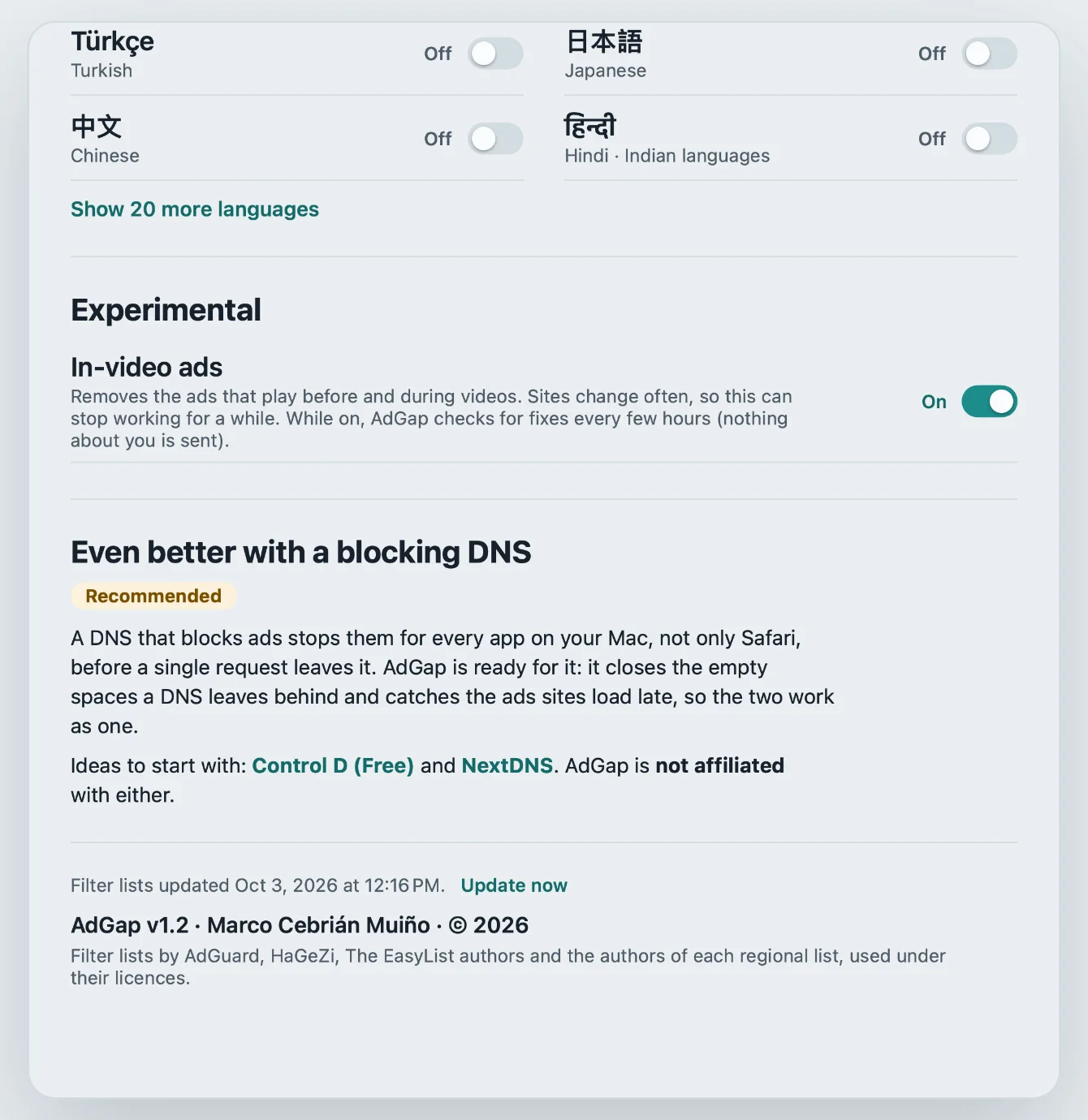 The AdGap settings window: the in-video ads switch, and a note on why a blocking DNS makes it even better.