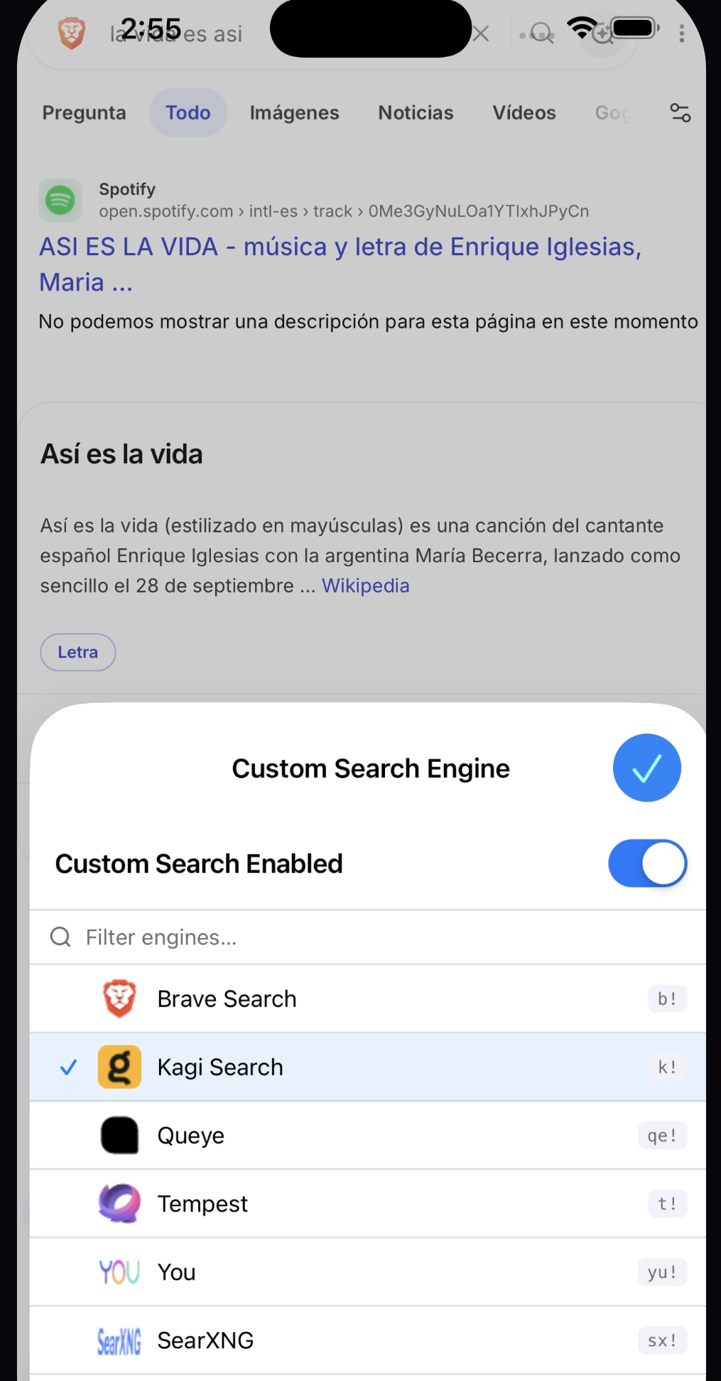 Custom Search engine picker inside Safari on iPhone